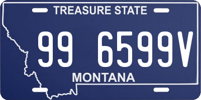 MT license plate 996599V