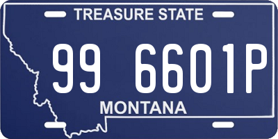 MT license plate 996601P