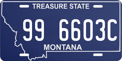 MT license plate 996603C