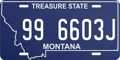 MT license plate 996603J