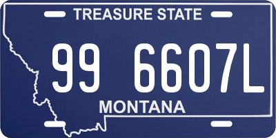 MT license plate 996607L