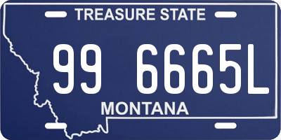 MT license plate 996665L