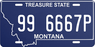 MT license plate 996667P