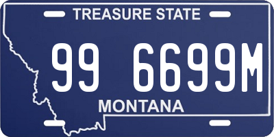 MT license plate 996699M