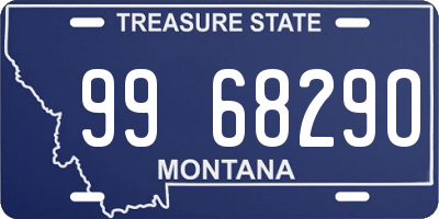 MT license plate 996829O