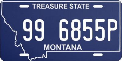 MT license plate 996855P