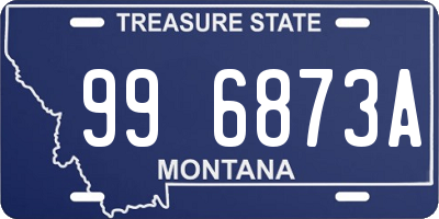 MT license plate 996873A