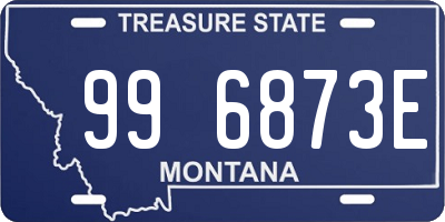 MT license plate 996873E