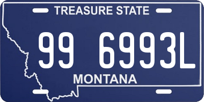 MT license plate 996993L