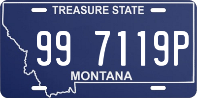 MT license plate 997119P