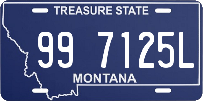 MT license plate 997125L