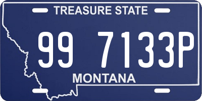 MT license plate 997133P