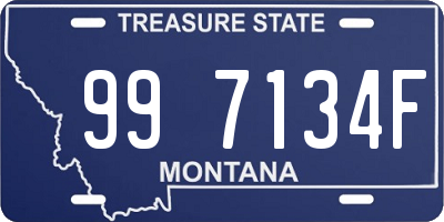 MT license plate 997134F