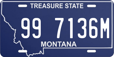 MT license plate 997136M