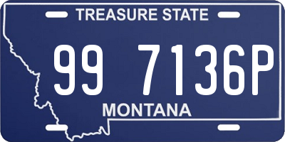 MT license plate 997136P