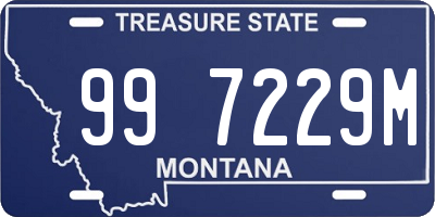 MT license plate 997229M