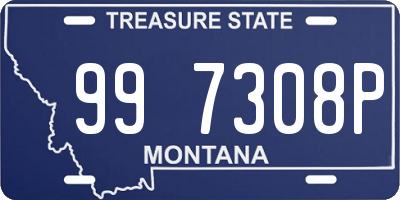 MT license plate 997308P