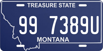 MT license plate 997389U