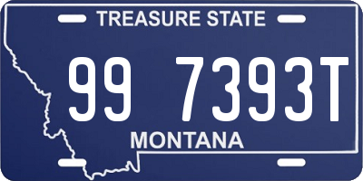 MT license plate 997393T