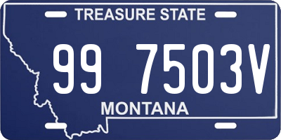 MT license plate 997503V