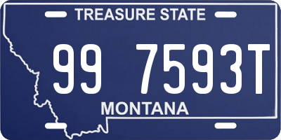 MT license plate 997593T