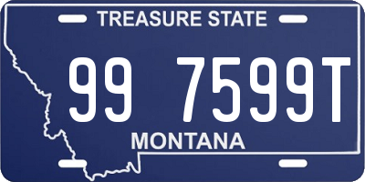 MT license plate 997599T