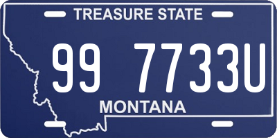 MT license plate 997733U