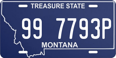 MT license plate 997793P