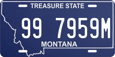 MT license plate 997959M