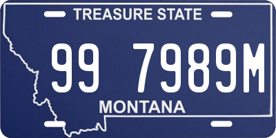 MT license plate 997989M