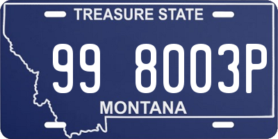 MT license plate 998003P