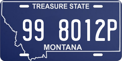 MT license plate 998012P