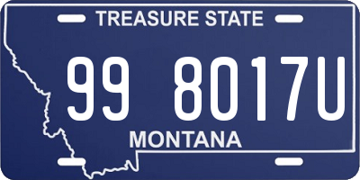 MT license plate 998017U