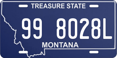 MT license plate 998028L