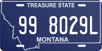 MT license plate 998029L