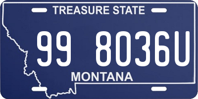 MT license plate 998036U