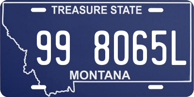 MT license plate 998065L