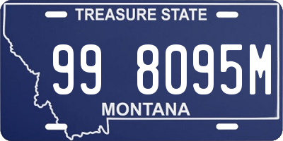 MT license plate 998095M