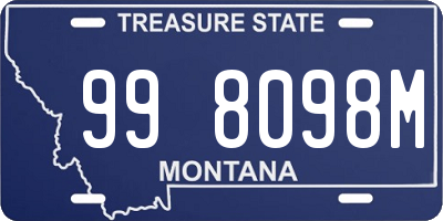 MT license plate 998098M