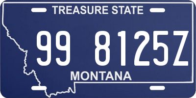 MT license plate 998125Z