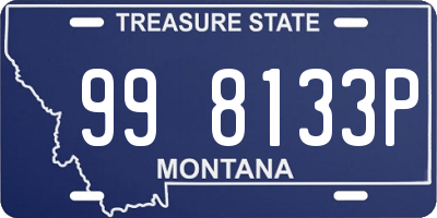 MT license plate 998133P