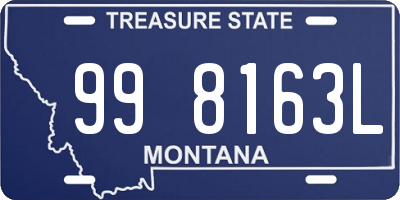 MT license plate 998163L