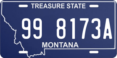 MT license plate 998173A