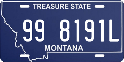 MT license plate 998191L