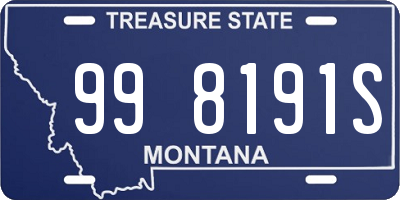 MT license plate 998191S