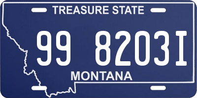 MT license plate 998203I