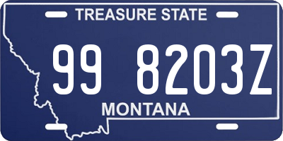 MT license plate 998203Z