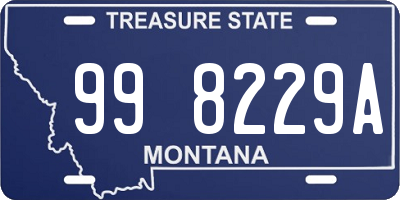 MT license plate 998229A