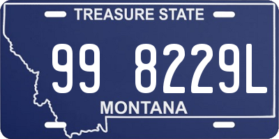 MT license plate 998229L