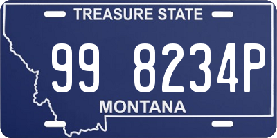 MT license plate 998234P